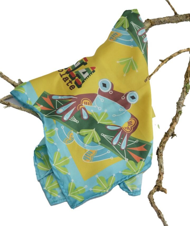 Pañoleta rana chocolate de antioquia