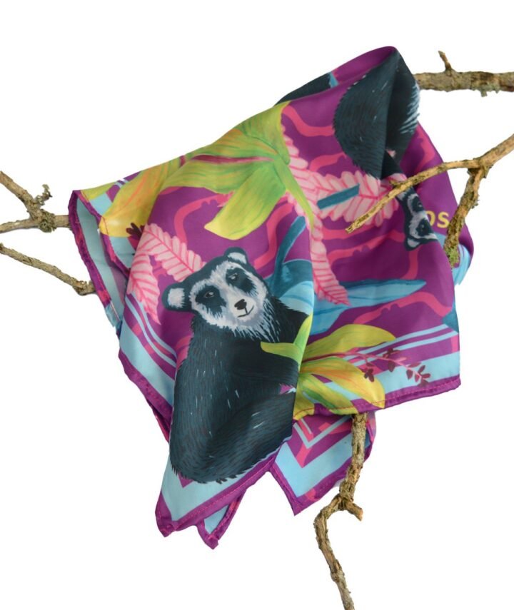 Panoleta-Oso-1.jpg pañoleta oso de anteojos