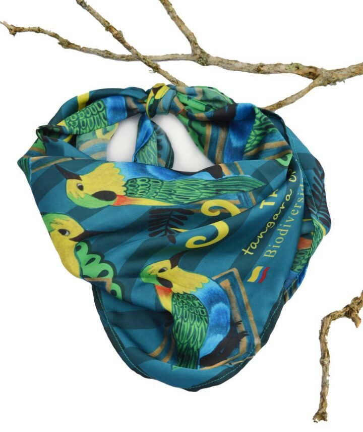 Pañoleta colorida tangara multicolor ave en sobre superficie