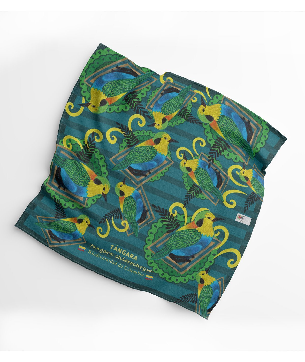 Panoleta-Tangara4.jpg Pañoleta colorida tangara multicolor ave en Colombia abierta