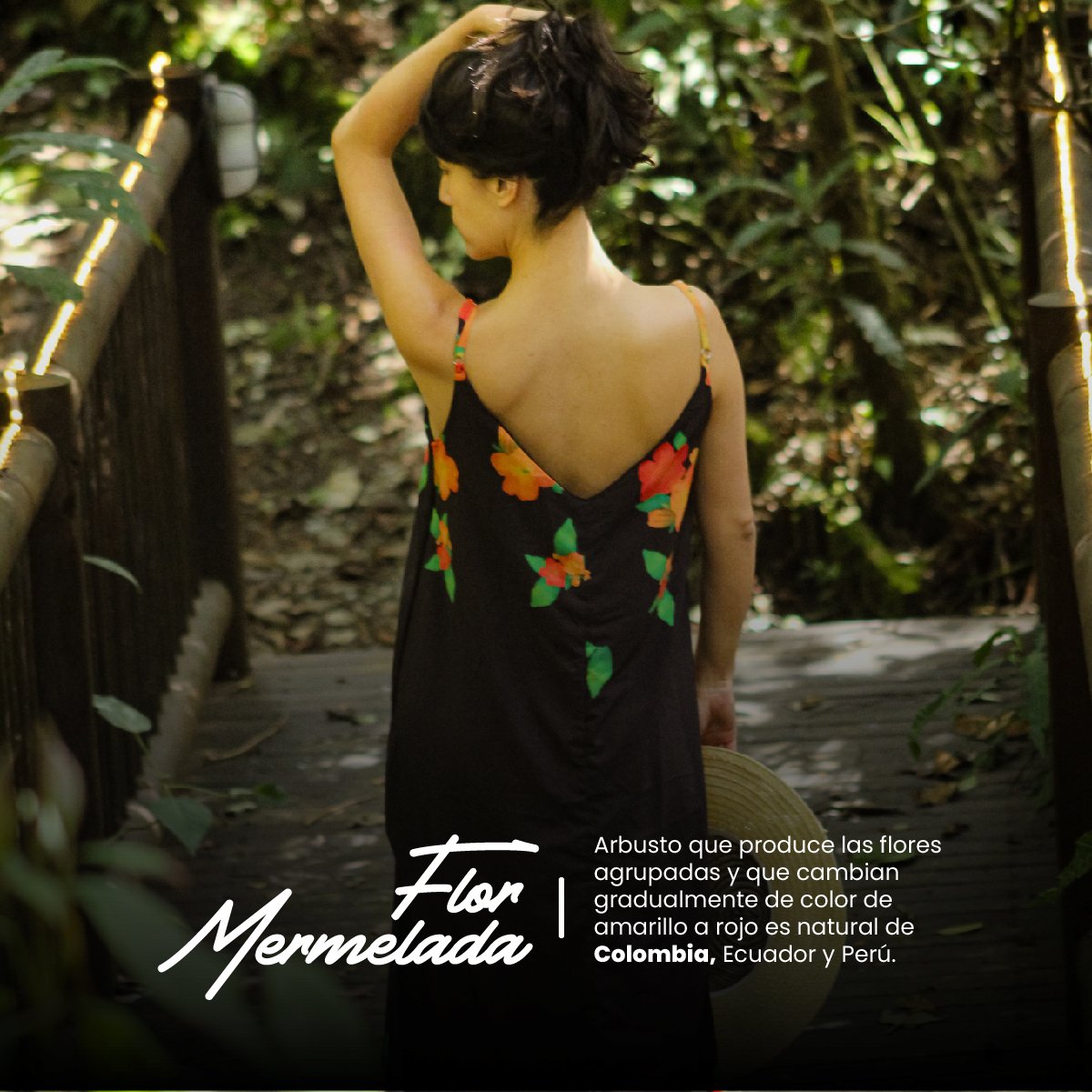 Instagram Faura colombia redes sociales